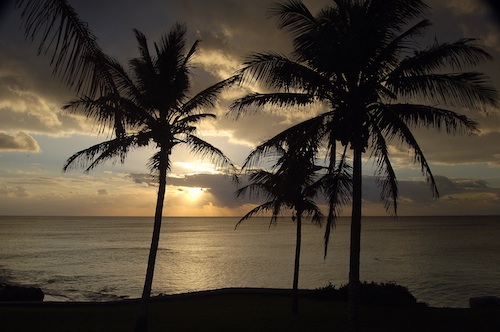 Bermuda Sunrise, Sunset