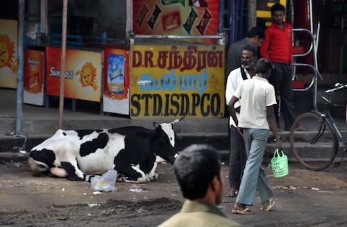 Typical street scene. Trunk Road, Chennai, South India